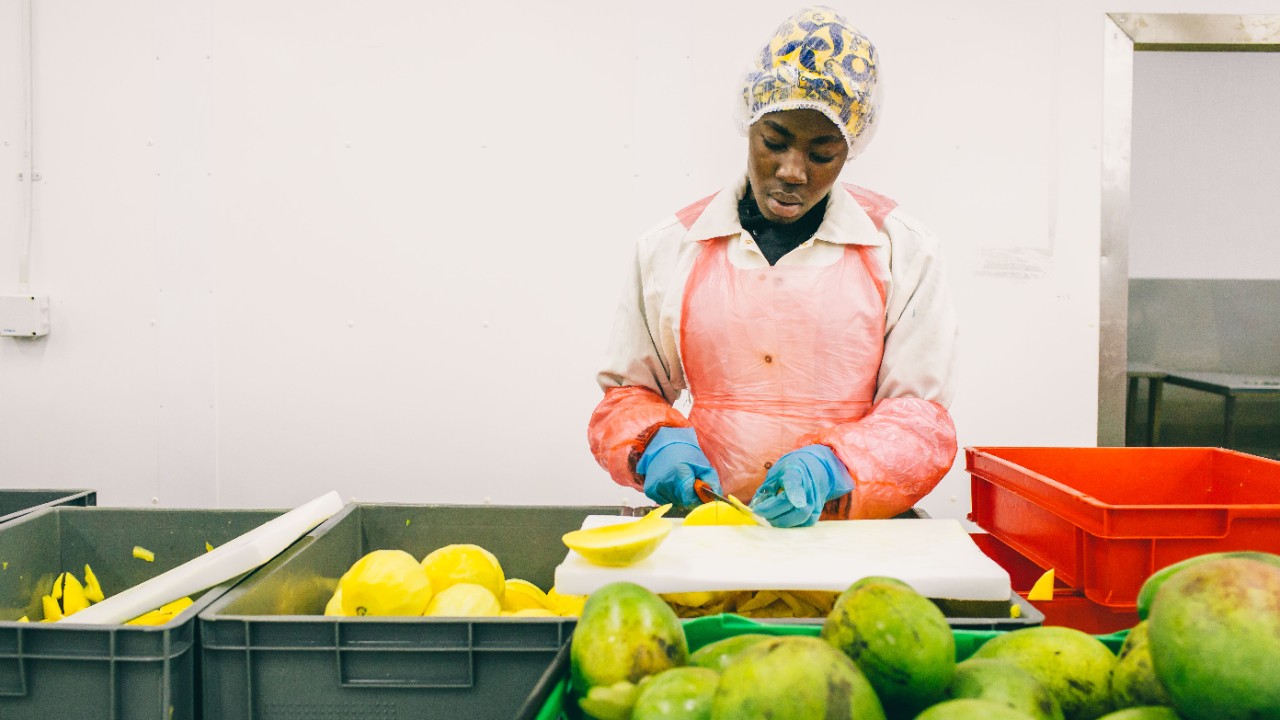 people-and-supply-chains-j20b