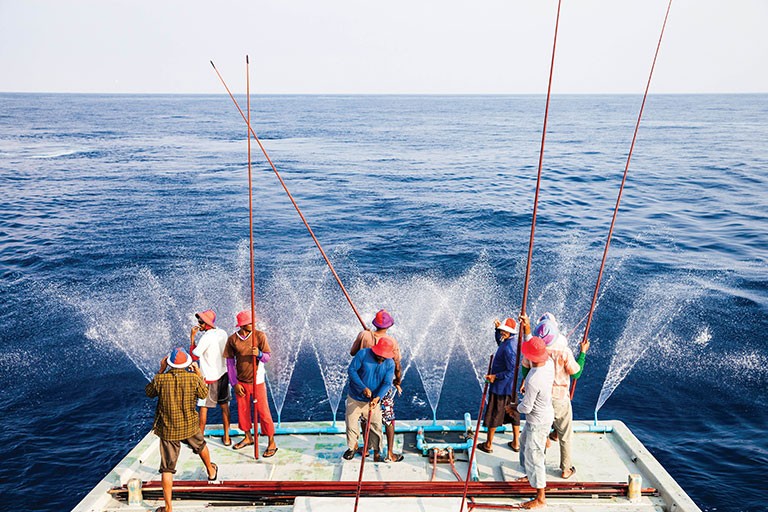 waitrose_Sustainable-fishing-thumb