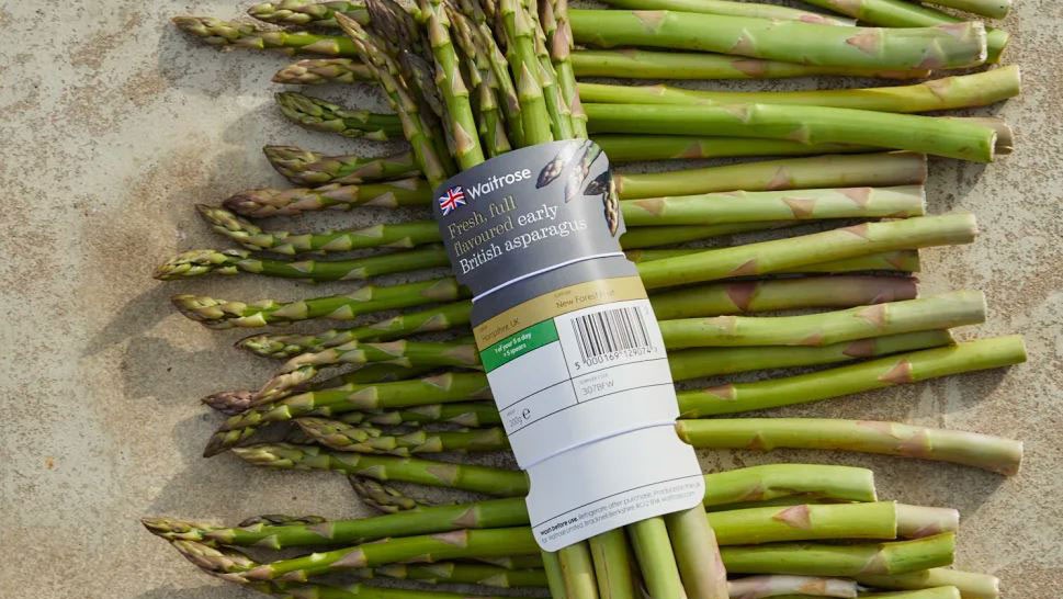 asparagus-plastics