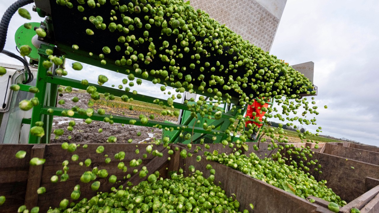 waitrose_food-waste