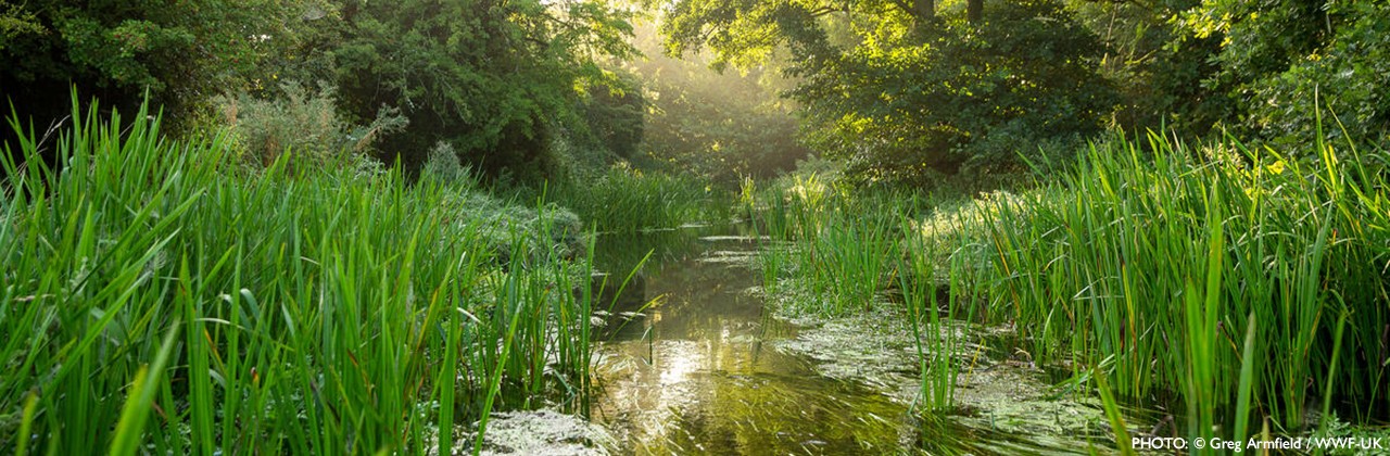 greg-armfield-wwf-uk