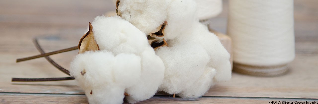 Better-Cotton-Initiative