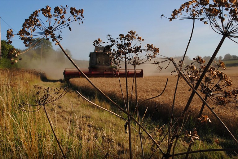 food-systems