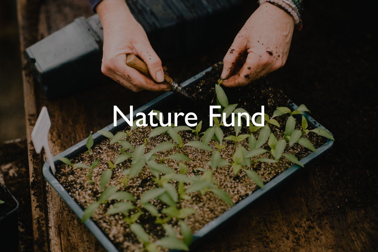 Nature Fund