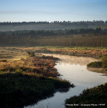 ecosystem regeneration funding