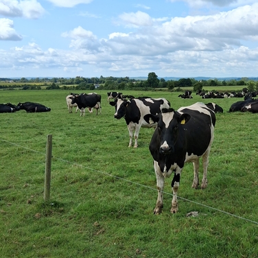 Supporting Our Communities