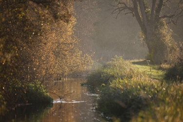 Net Zero Leckford Farm