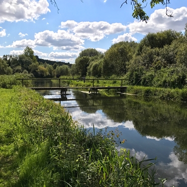 Sustainable Water Management