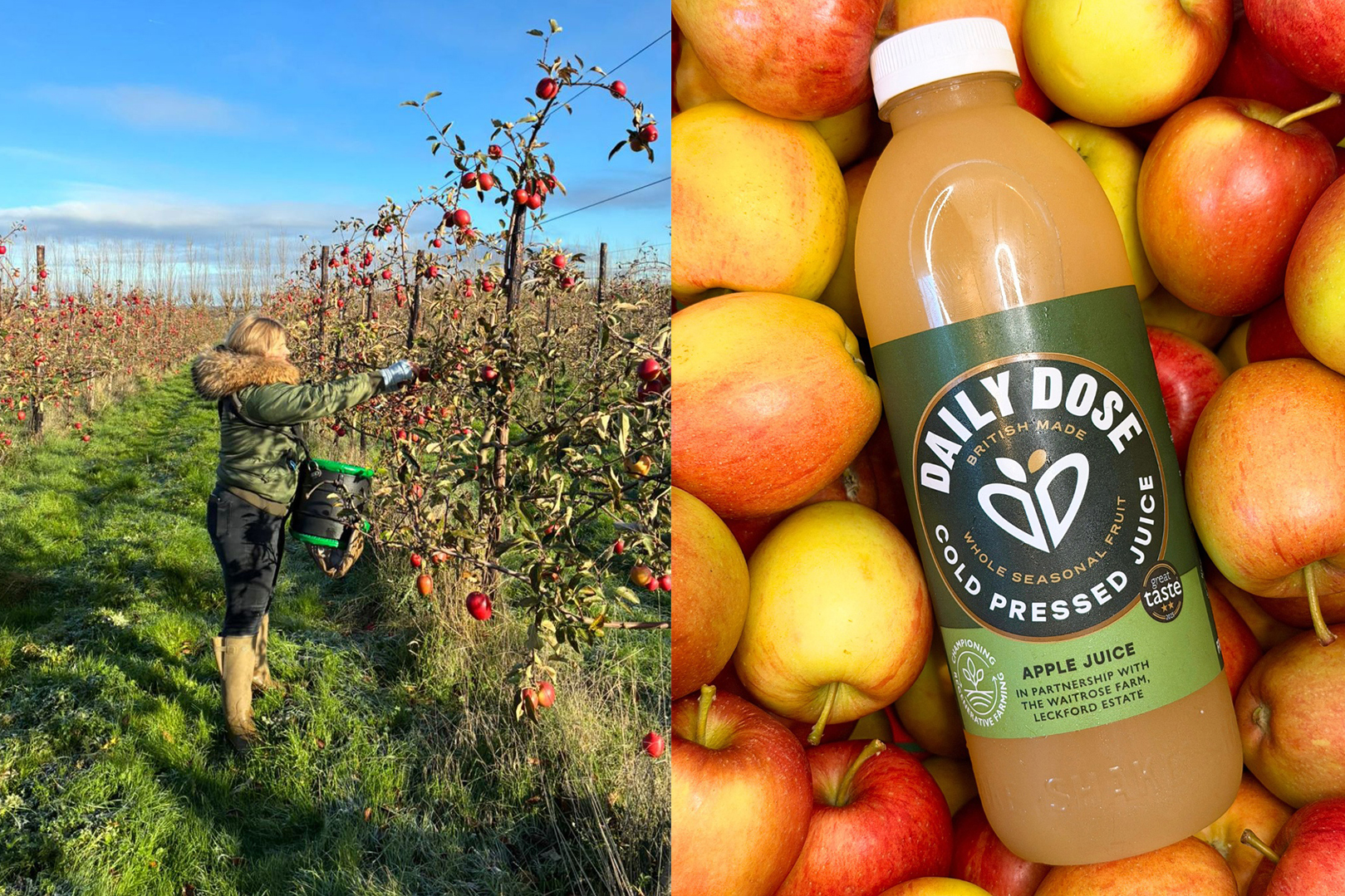 Image of Waitrose and Daily Dose partner to launch limited-edition Leckford Estate Apple Juice