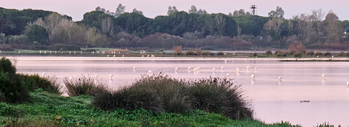 Responsible water stewardship in our supply chains