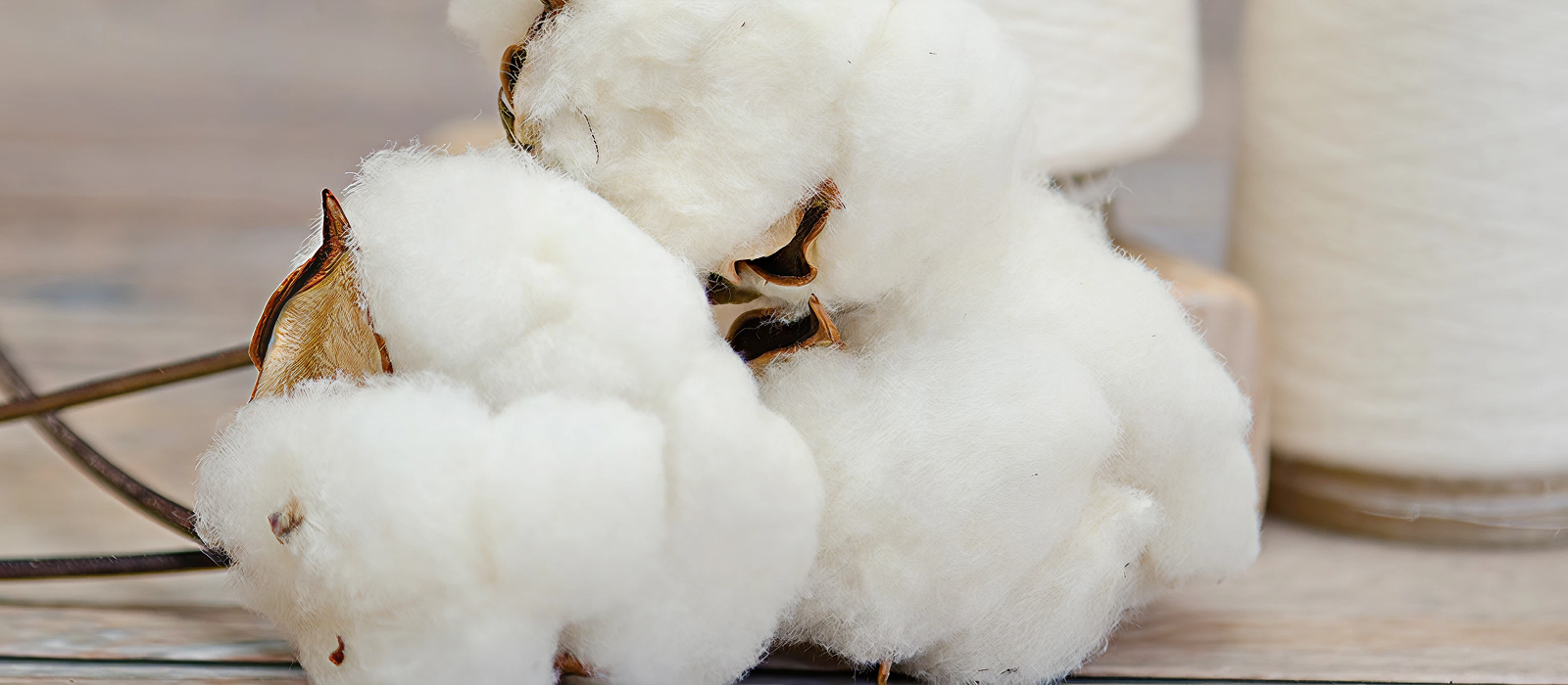 cotton