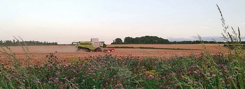 Farming for nature
