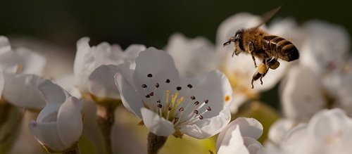 Nature And Biodiversity