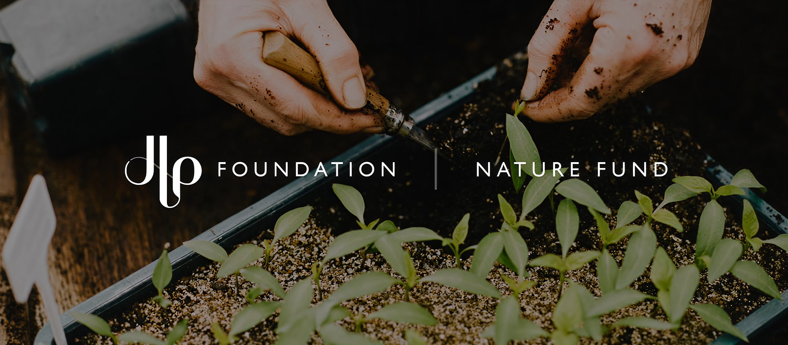 Nature fund