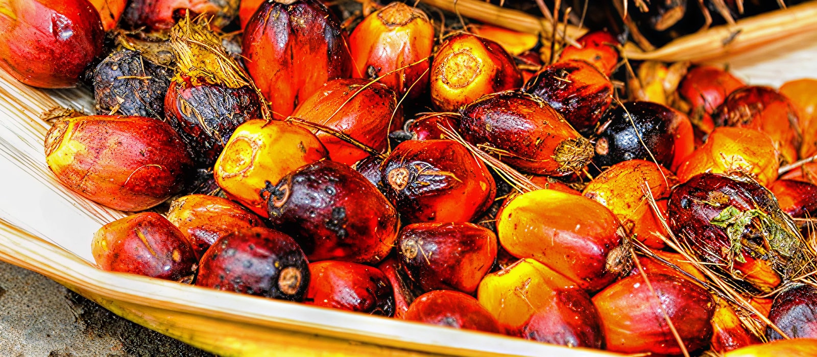 Palm oil