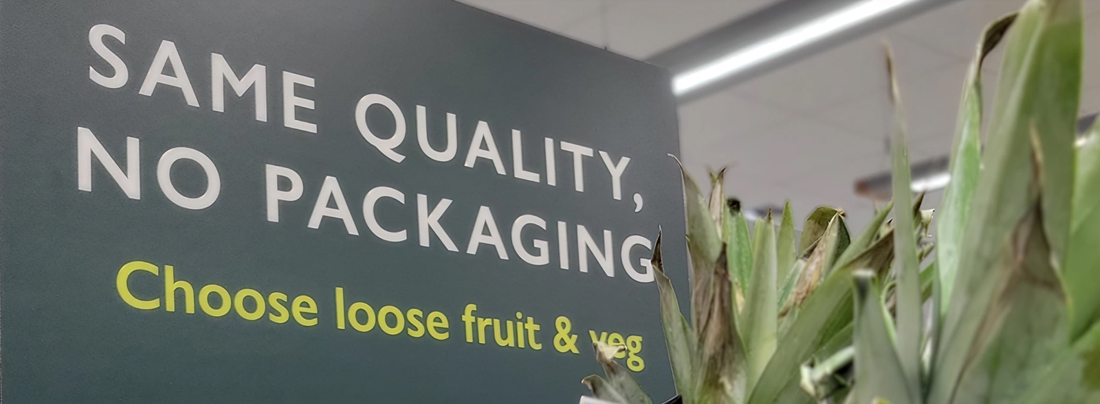 Plastics and packaging