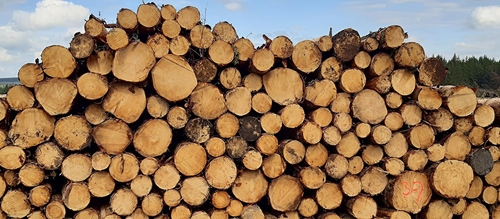 Timber