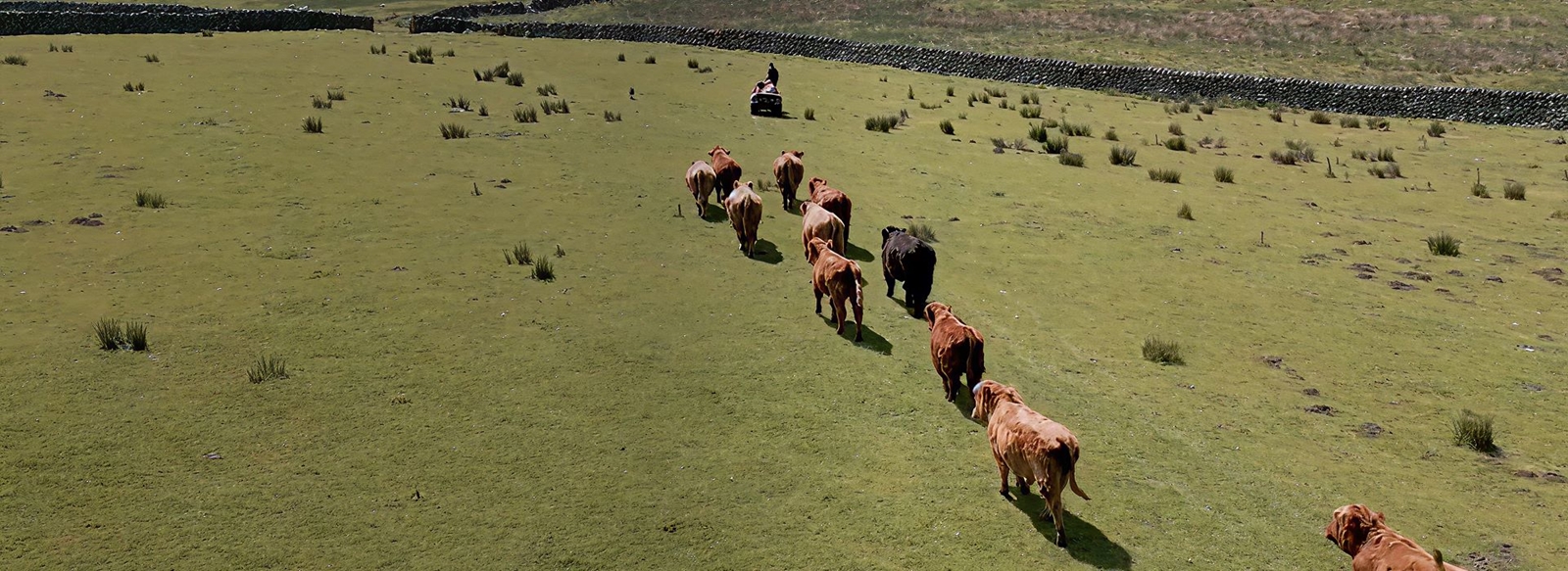 raw materials sourcing