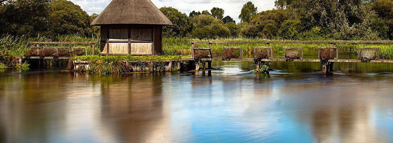 Responsible water stewardship in our supply chains