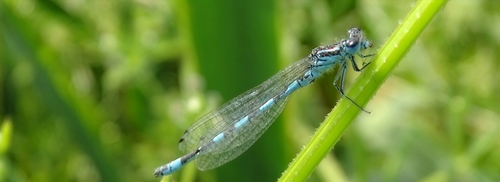 Science based targets for nature