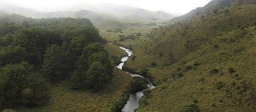Our partnership with WWF