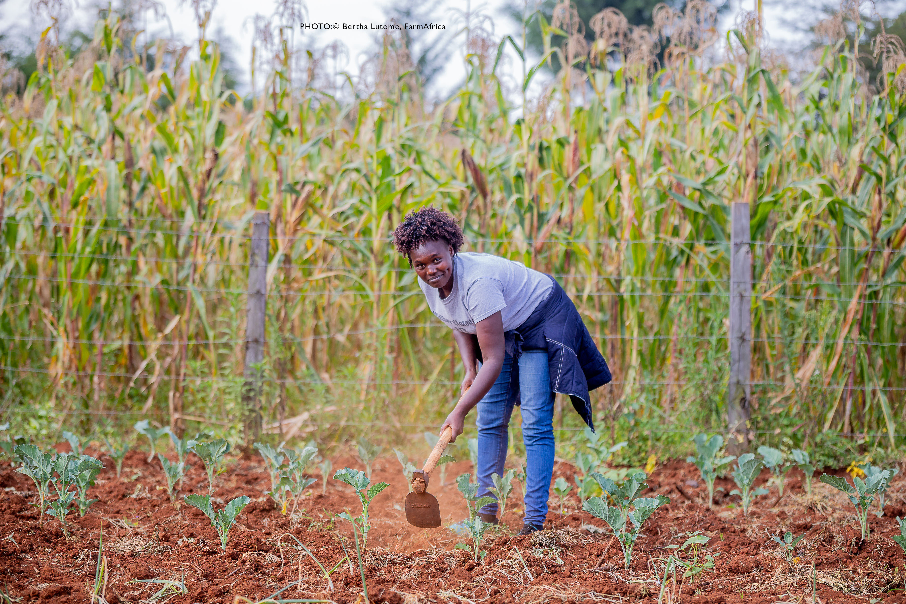 workers’ livelihoods improved by target date of 2025