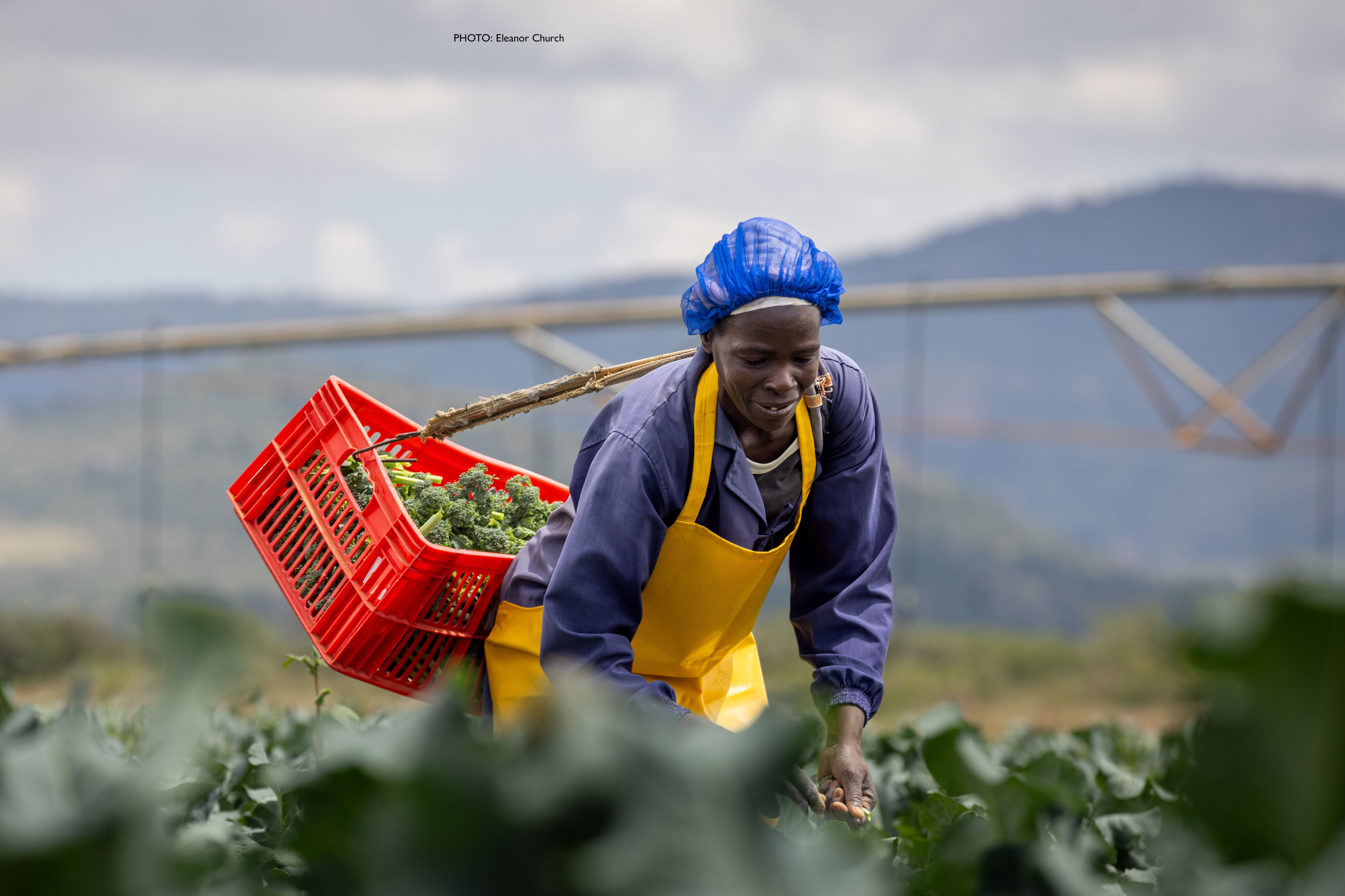 Generated to support projects in the communities from which we source.