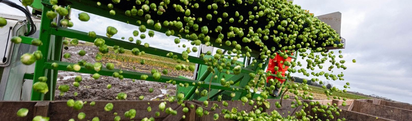 Monitoring of pesticides used throughout our growing base