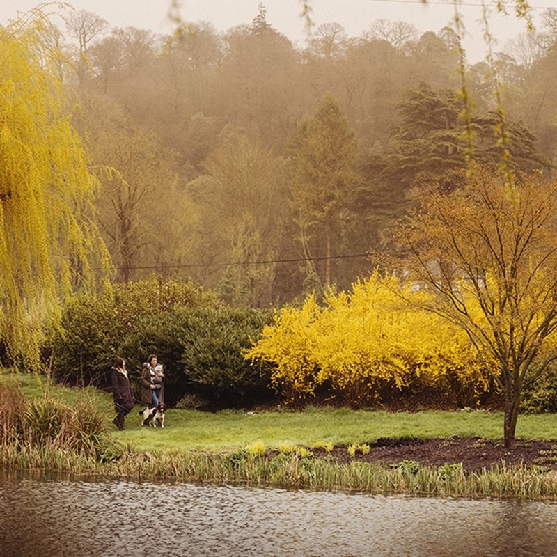 A partnership with purpose 1