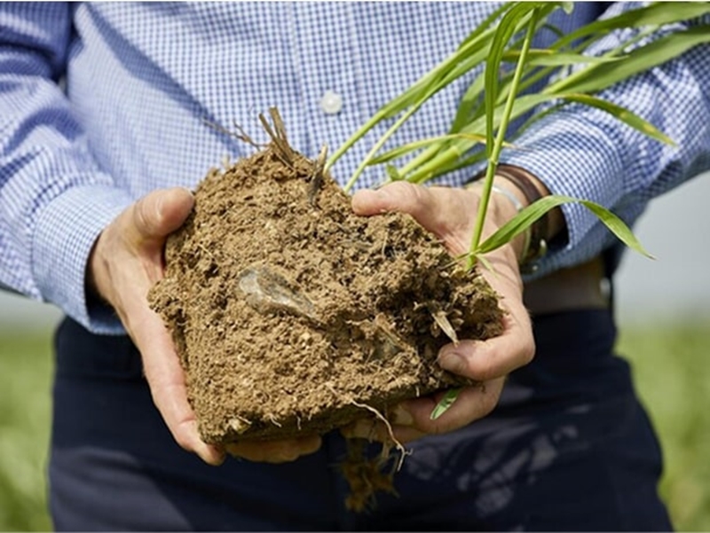 Baseline habitat maps and future land management plans