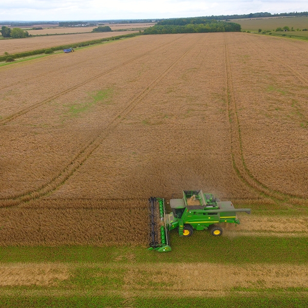 Crop protection