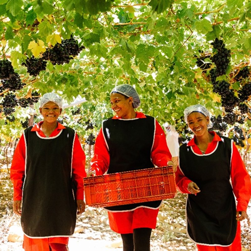 Enriching the lives of all we work with