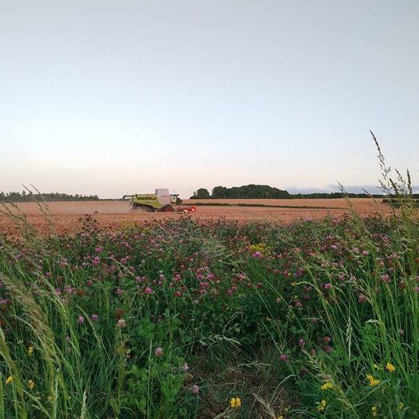 Good agricultural practices