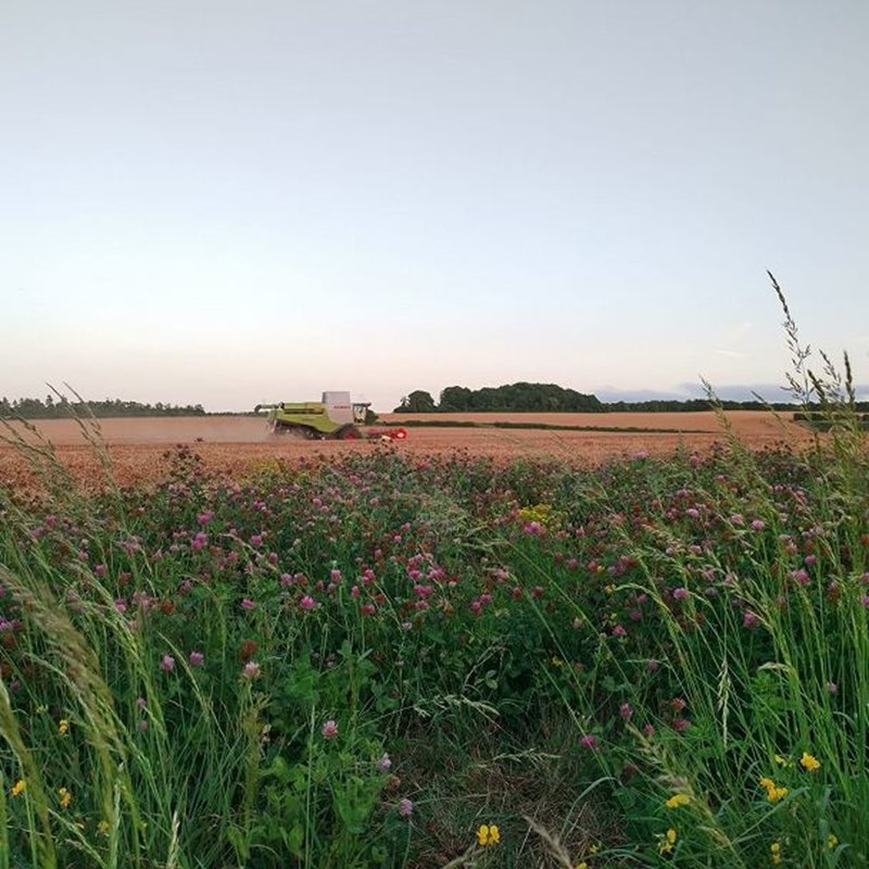 Good agricultural practices