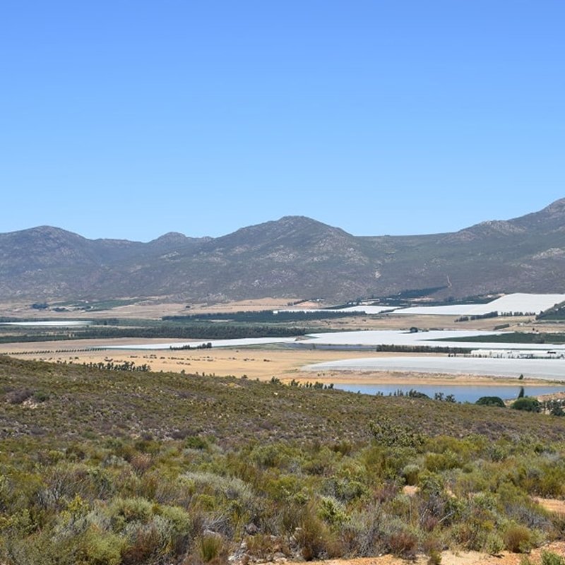 In South Africa, the Waitrose