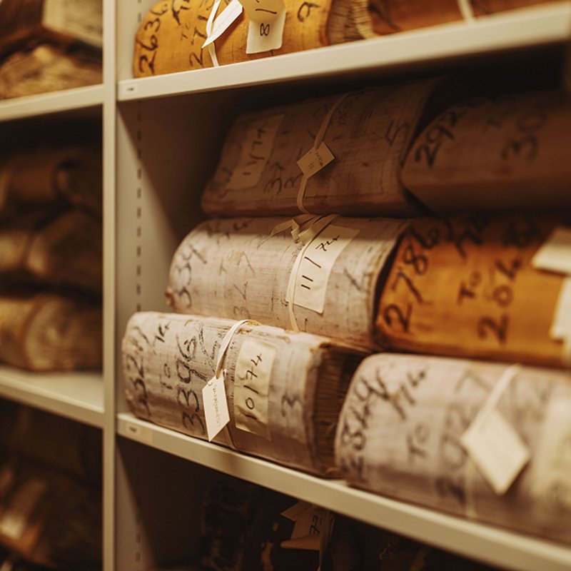 John Lewis partnership  trust limited