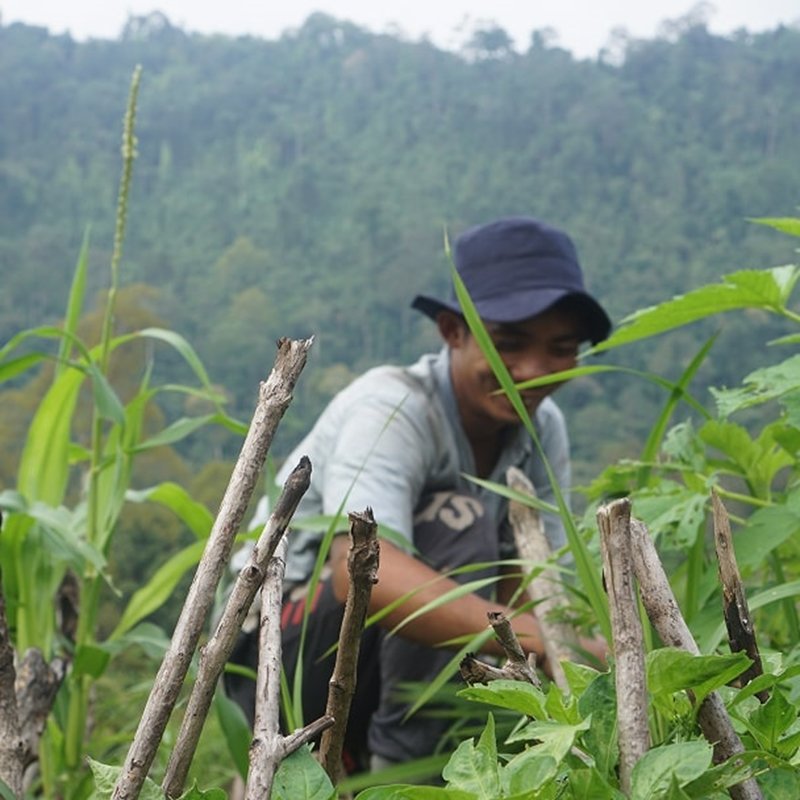 We seek to influence this by working collectively with othe