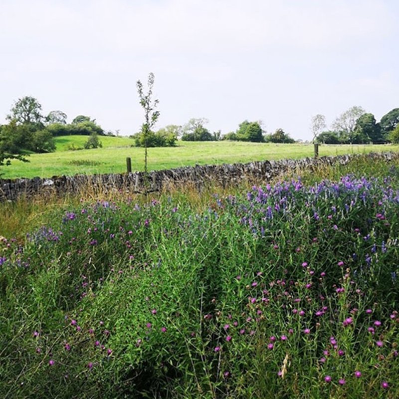 Protecting our natural world