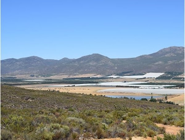 South Africa