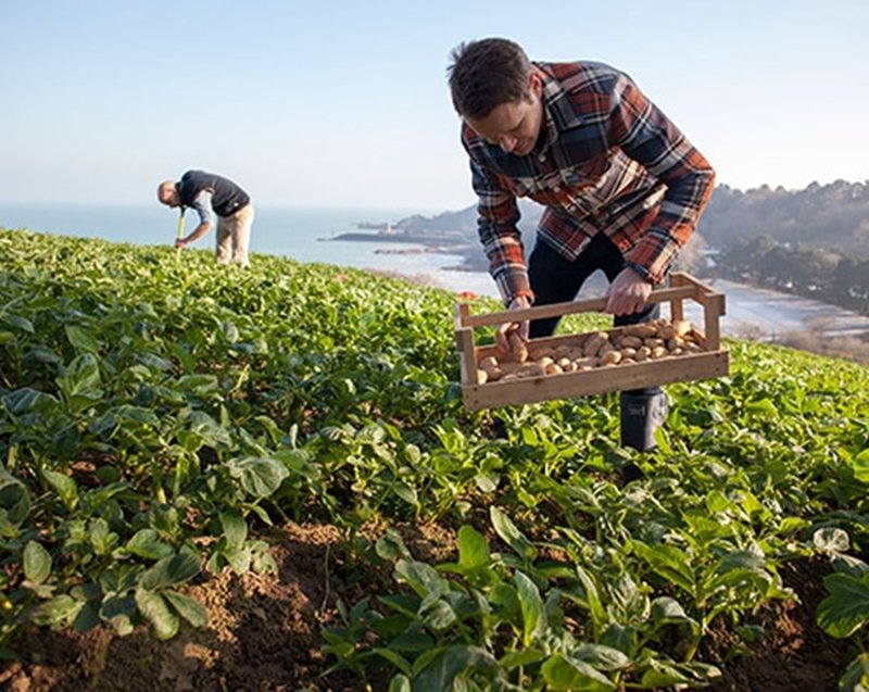 Tackling Modern Slavery