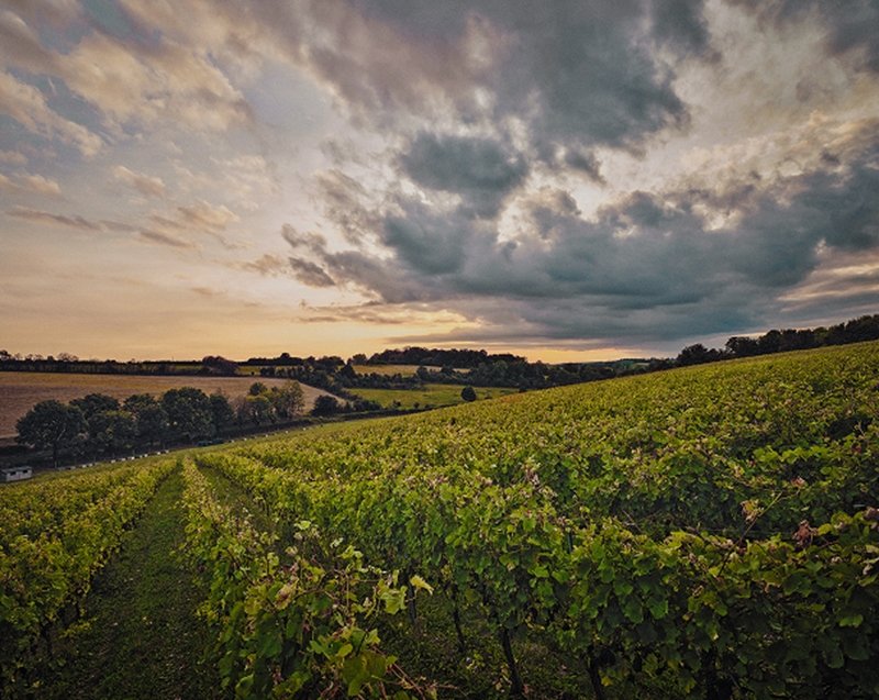 The Waitrose approach