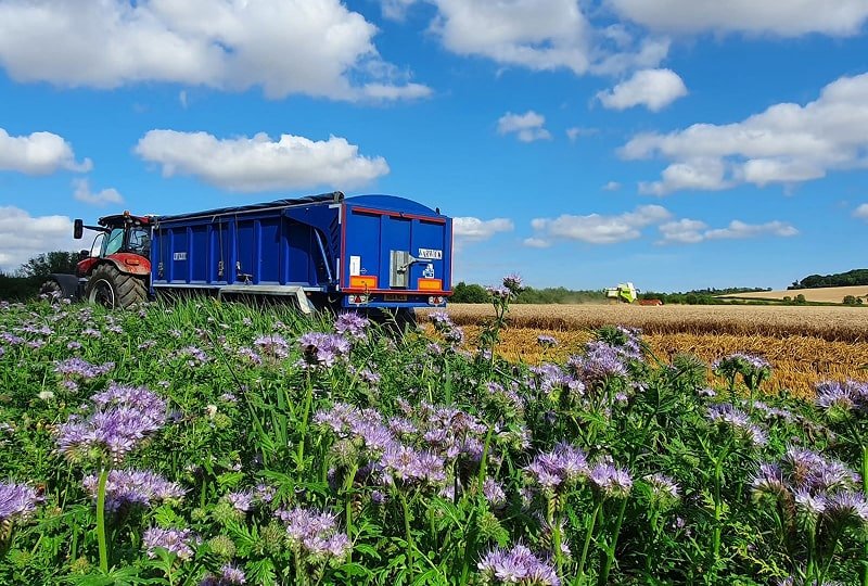 n 2024, volunteers from the Botanical Society
