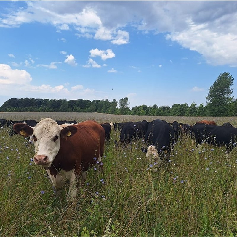 Why this project matters