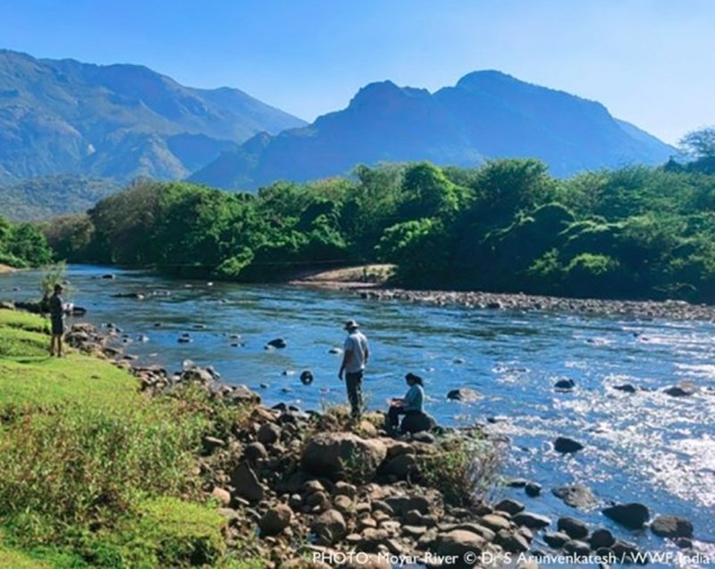 Dr S Arunvenkatesh/WWF India