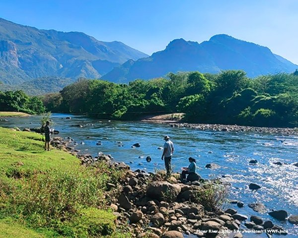 Dr S Arunvenkatesh/WWF India