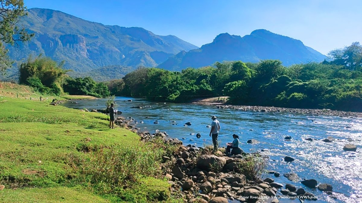 Cutting our fleet’s climate impact