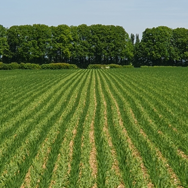 Supporting Supply  Chain Workers