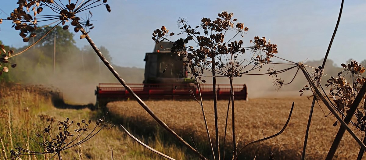 How we approach food systems