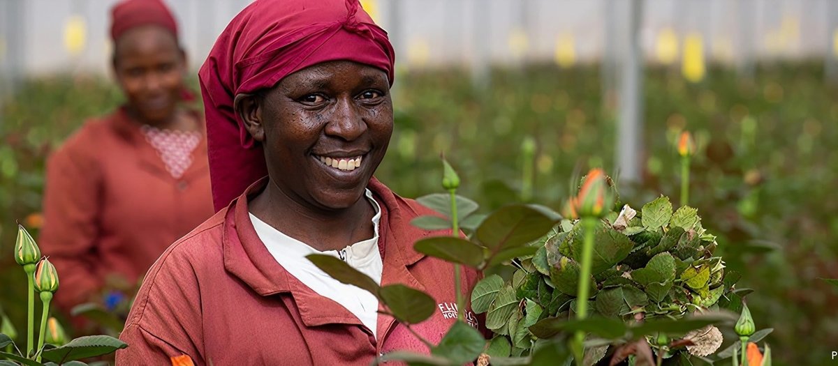 How we improve livelihoods