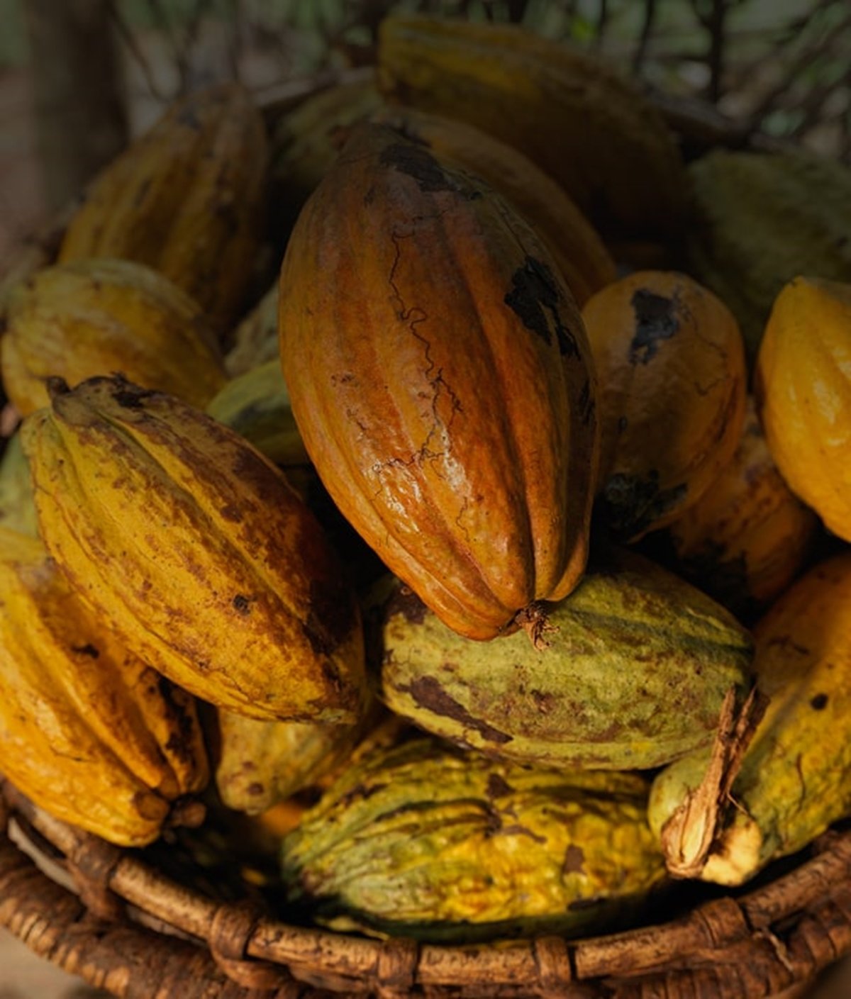 How we improve livelihoods